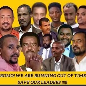 Meet your Posher, Fadila